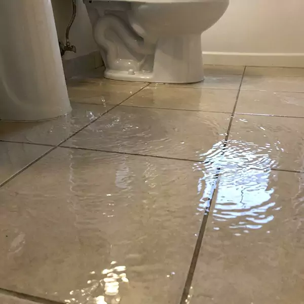 Expert Flooded Bathroom Restoration in Simi Valley, CA 