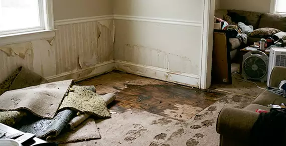 Why Choose Us For Water Damage Restoration Services in Simi Valley?