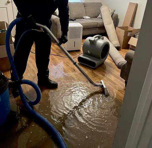 Why Homeowners & Businesses Choose Simi Valley Water Damage for Flood Cleanup in Simi Valley, CA?